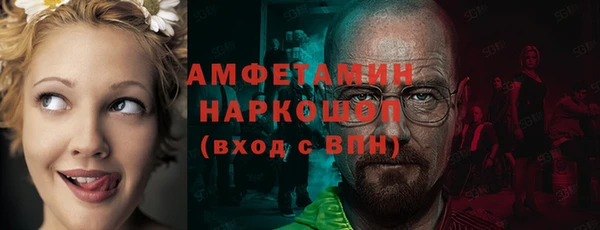 СК Горно-Алтайск