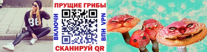 Галлюциногенные грибы MAGIC MUSHROOMS Вышний Волочёк